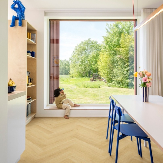 IMD8243_Interior01_din